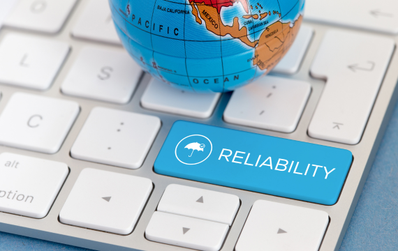 Reliability and Safety